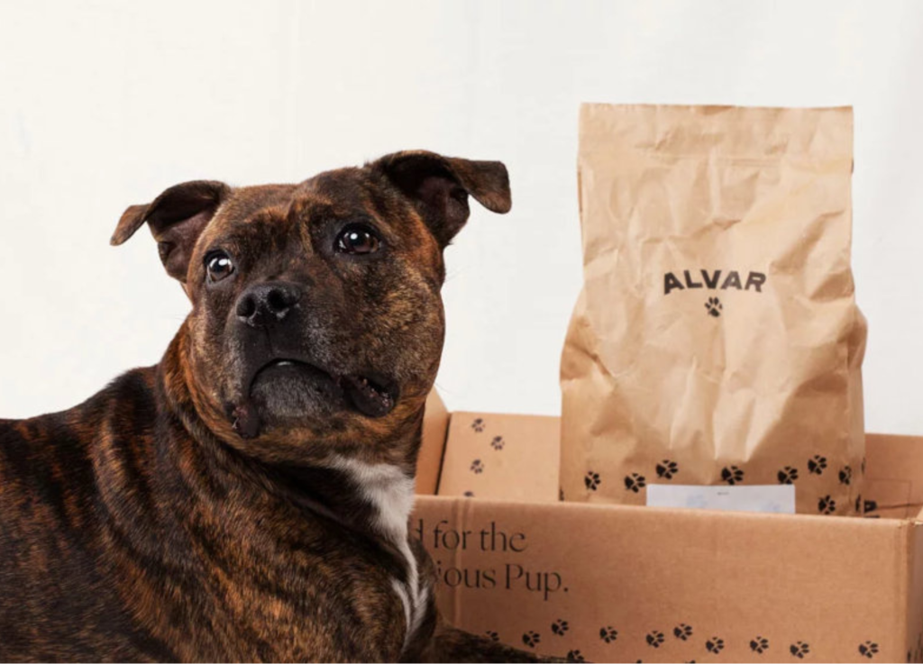 Online dog food sales companies